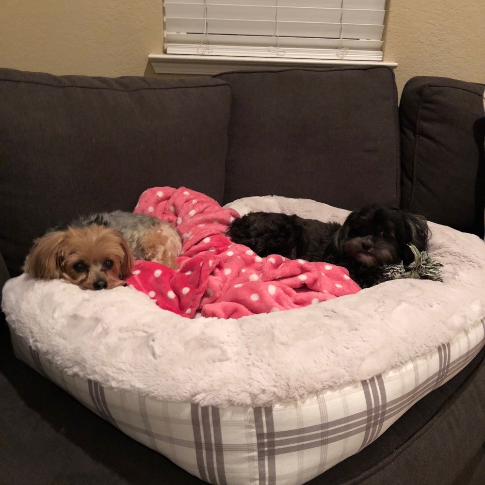 Meet your Posher, Lisa